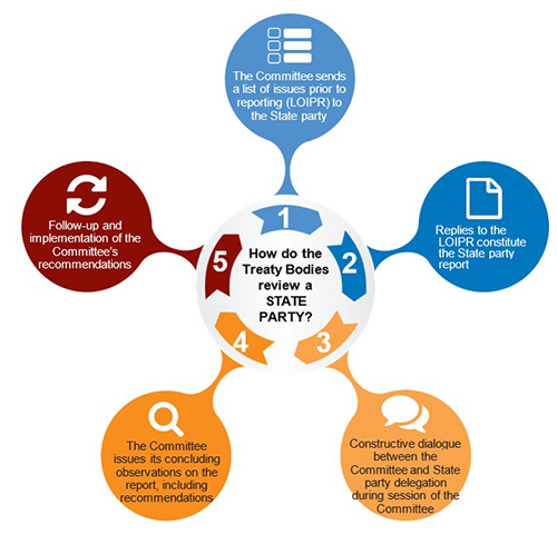 diagram of simplified reporting procedure